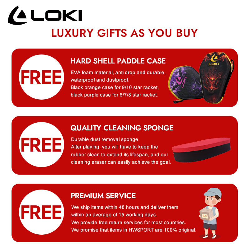 LOKI DRAGON 10 STAR Racchetta  - Badminton Racket Carbon recensione e prezzo